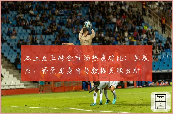 本土后卫转会市场热度对比：朱辰杰、蒋圣龙身价与数据关联分析