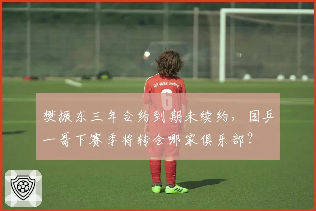 樊振东三年合约到期未续约，国乒一哥下赛季将转会哪家俱乐部？